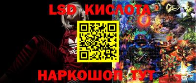винт Краснодар