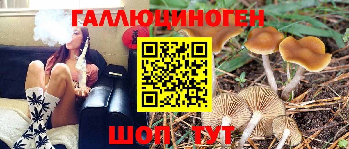 Псилоцибиновые грибы Psilocybe Королёв