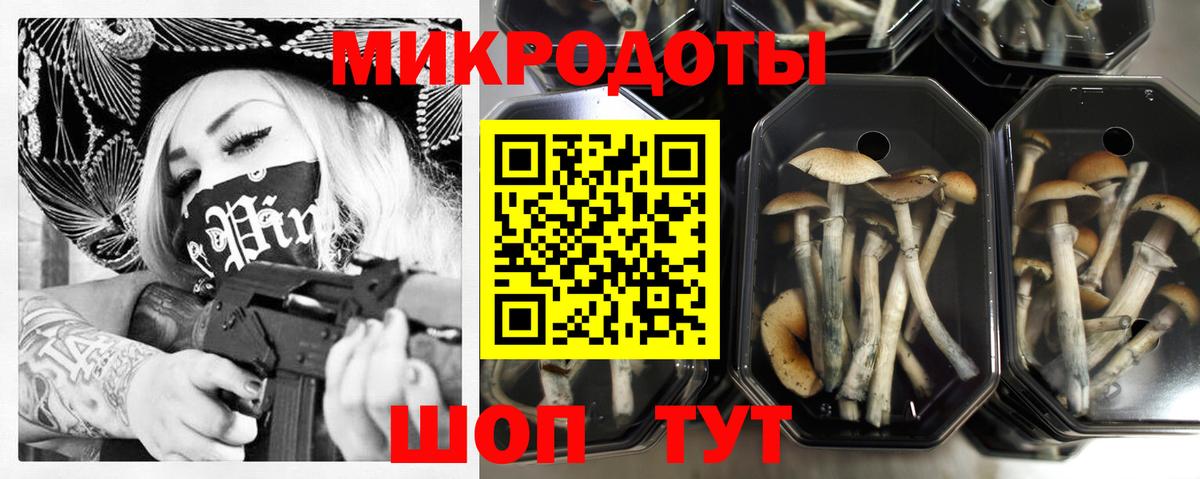 Псилоцибиновые грибы Magic Shrooms  Вход с VPN  Галлюциногенные грибы мицелий  Королёв 